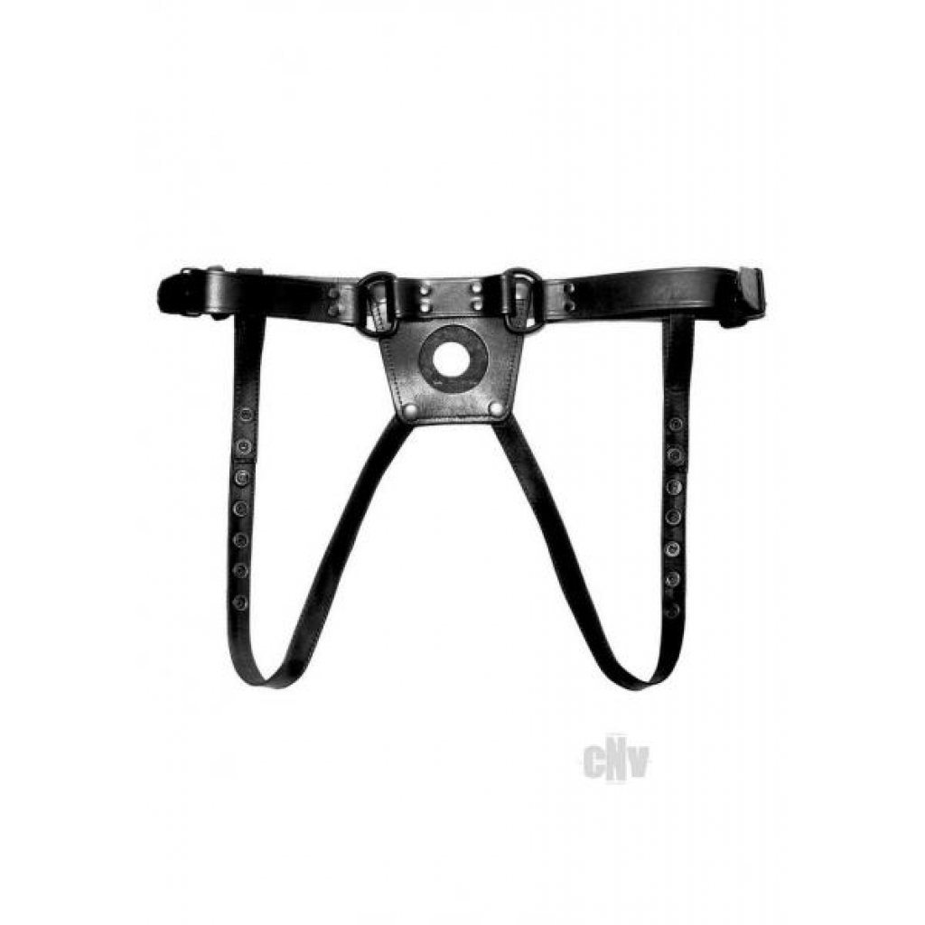 Prowler Red Dong Harness Lg Blk - Prowler