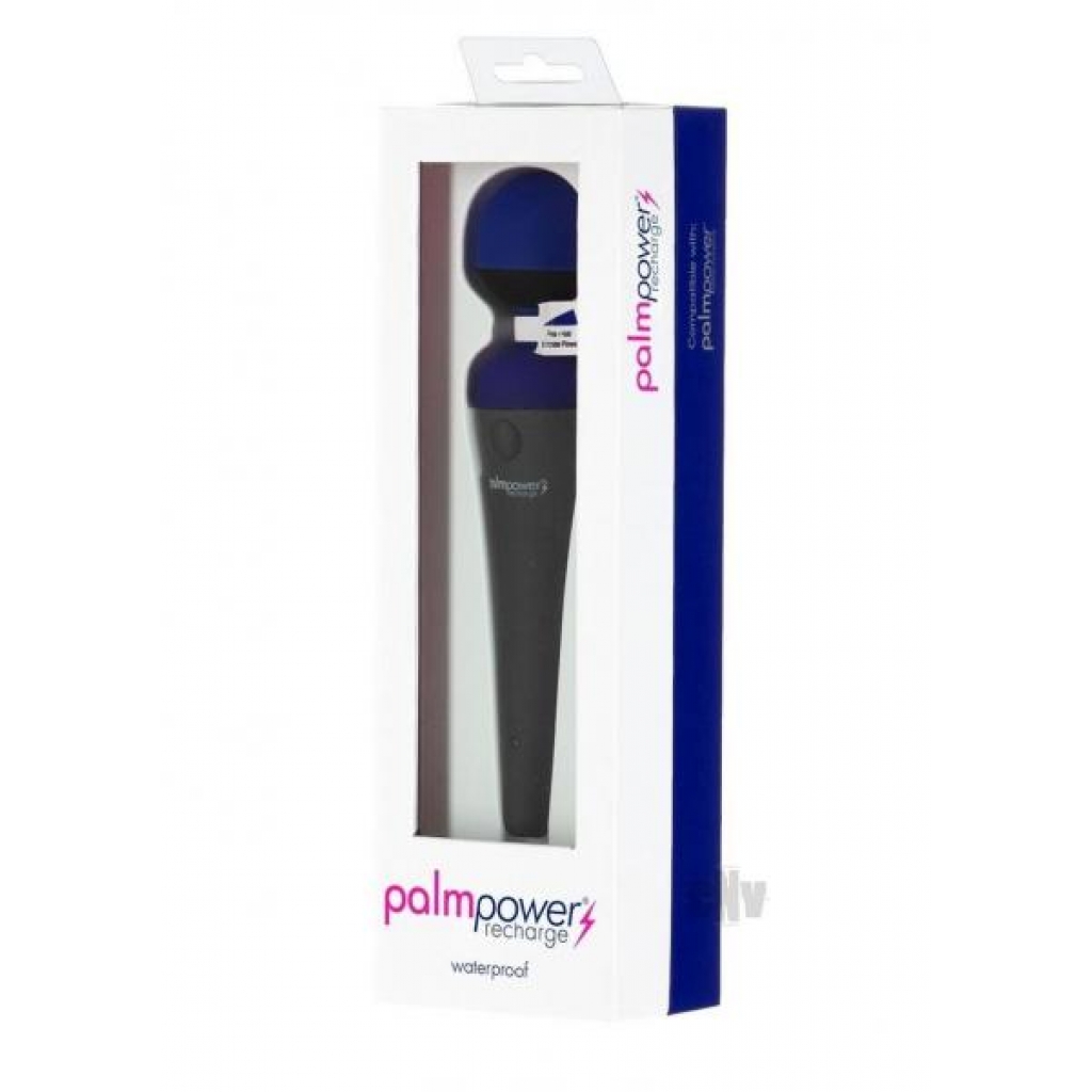 Palmpower Recharge Massager Blue - B.m.s. Enterprises