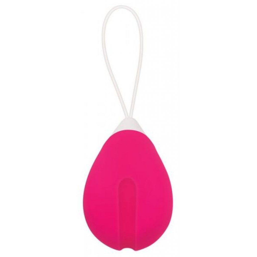 Rechargeable Remote Control Egg Vibrator Pink - Evolved Novelties