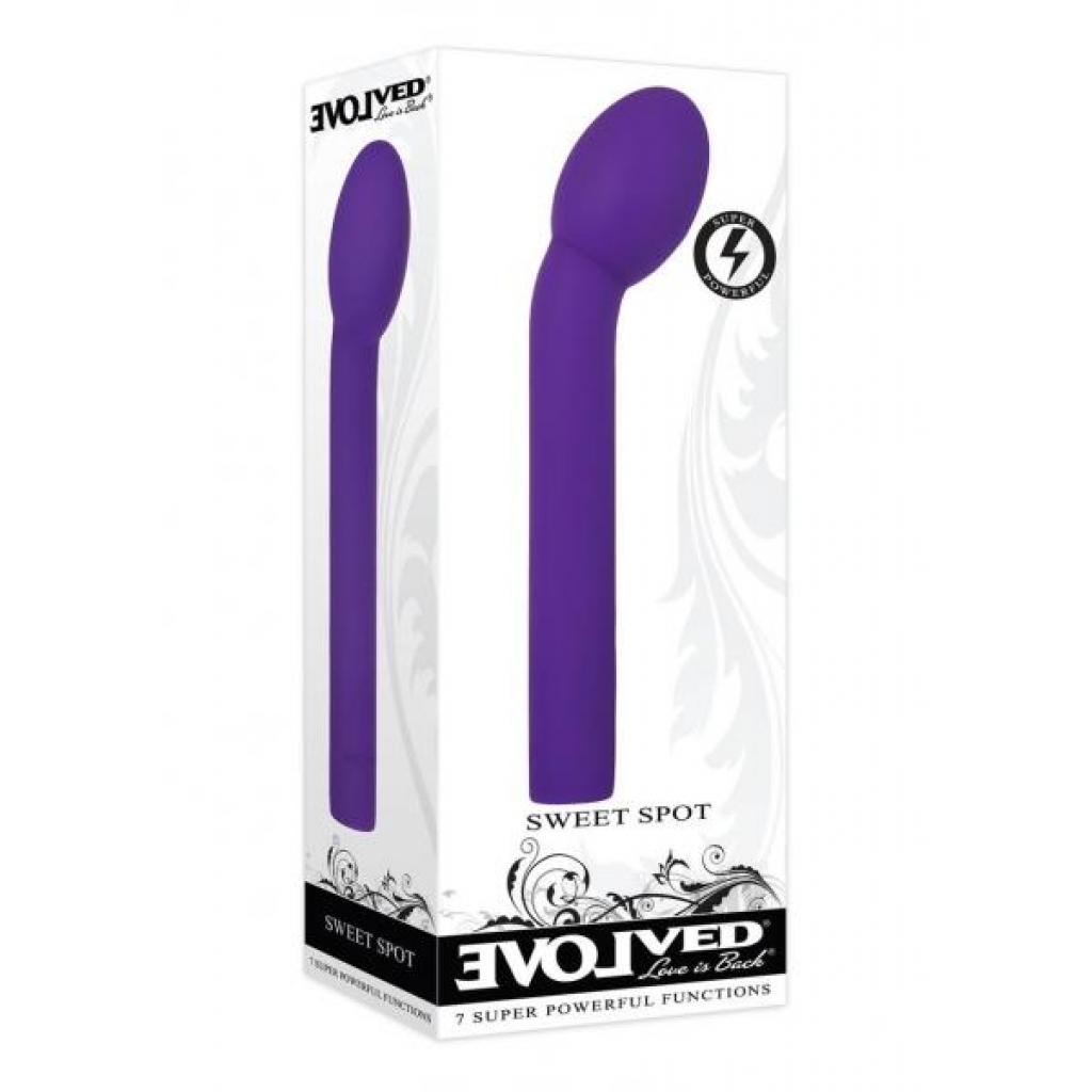 Sweet Spot Purple - Evolved Novelties