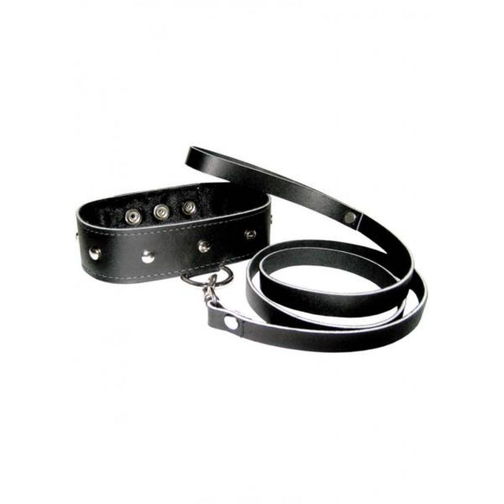 Studded Leather Leash and Collar Set