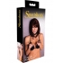 Sportsheets Collar With Nipple Clamps - Sensual Play