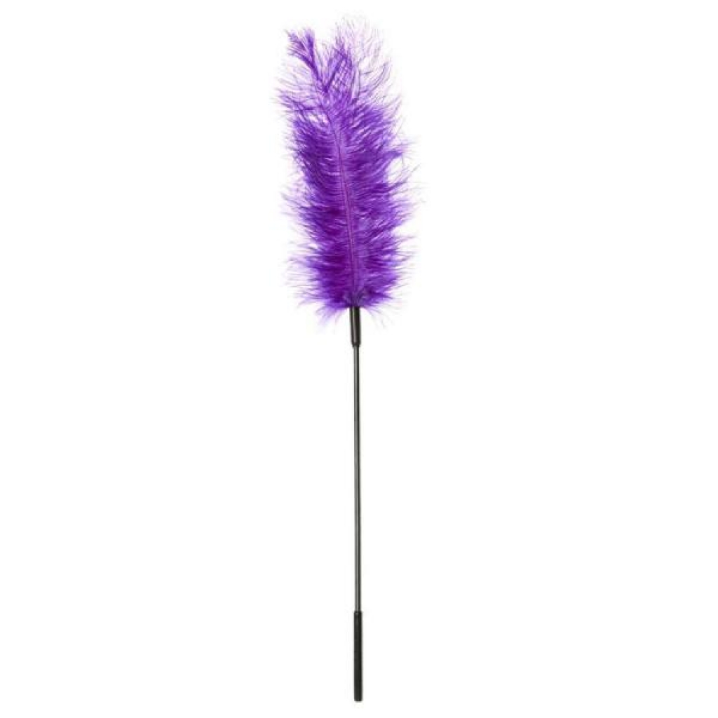 Body Tickler Ostrich Feather Tickler Purple - Sportsheets