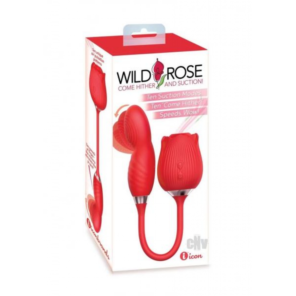 Wild Rose Come Hither Red - Icon Brands Inc