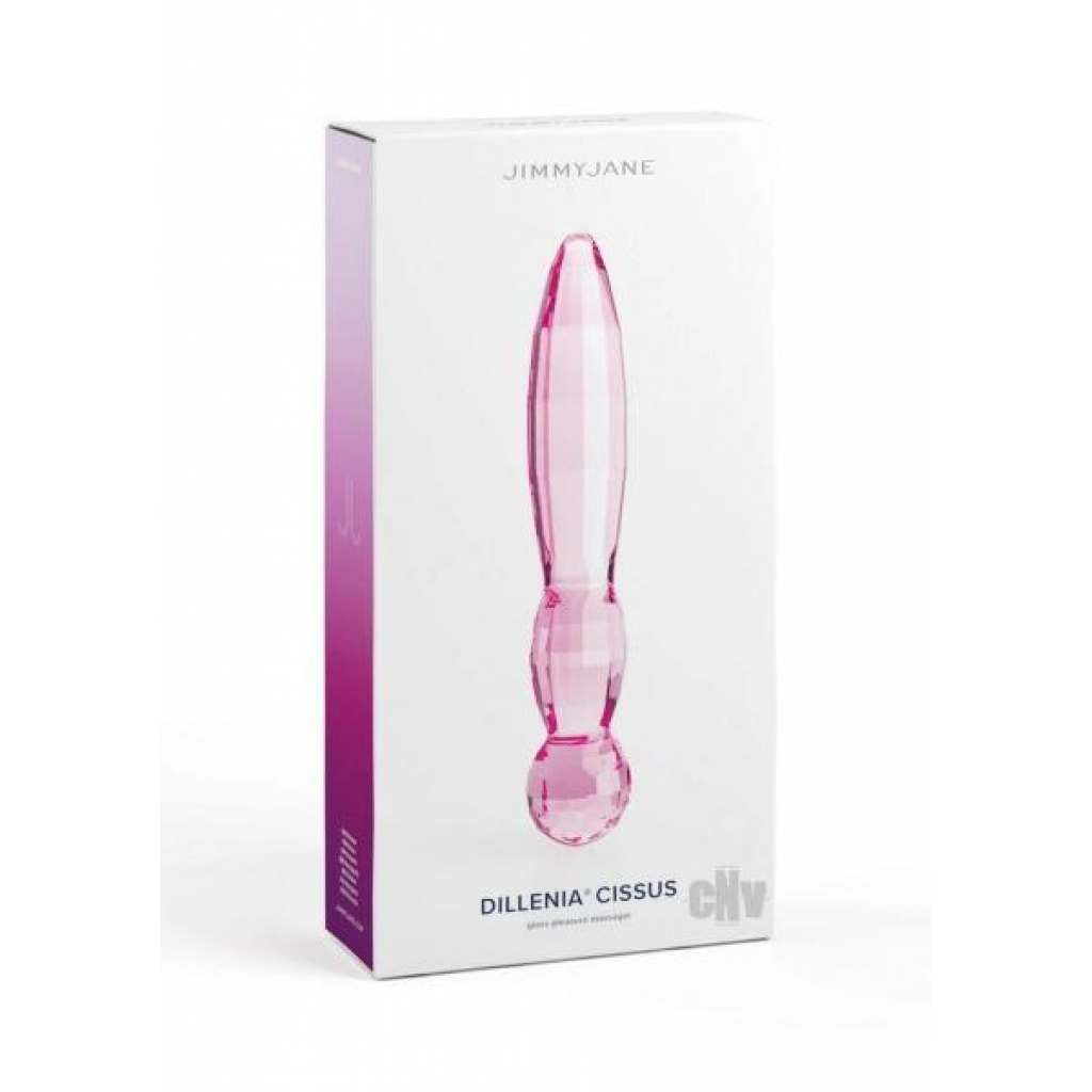 Jimmyjane Dillenia Cissus Glass Wand - Pink