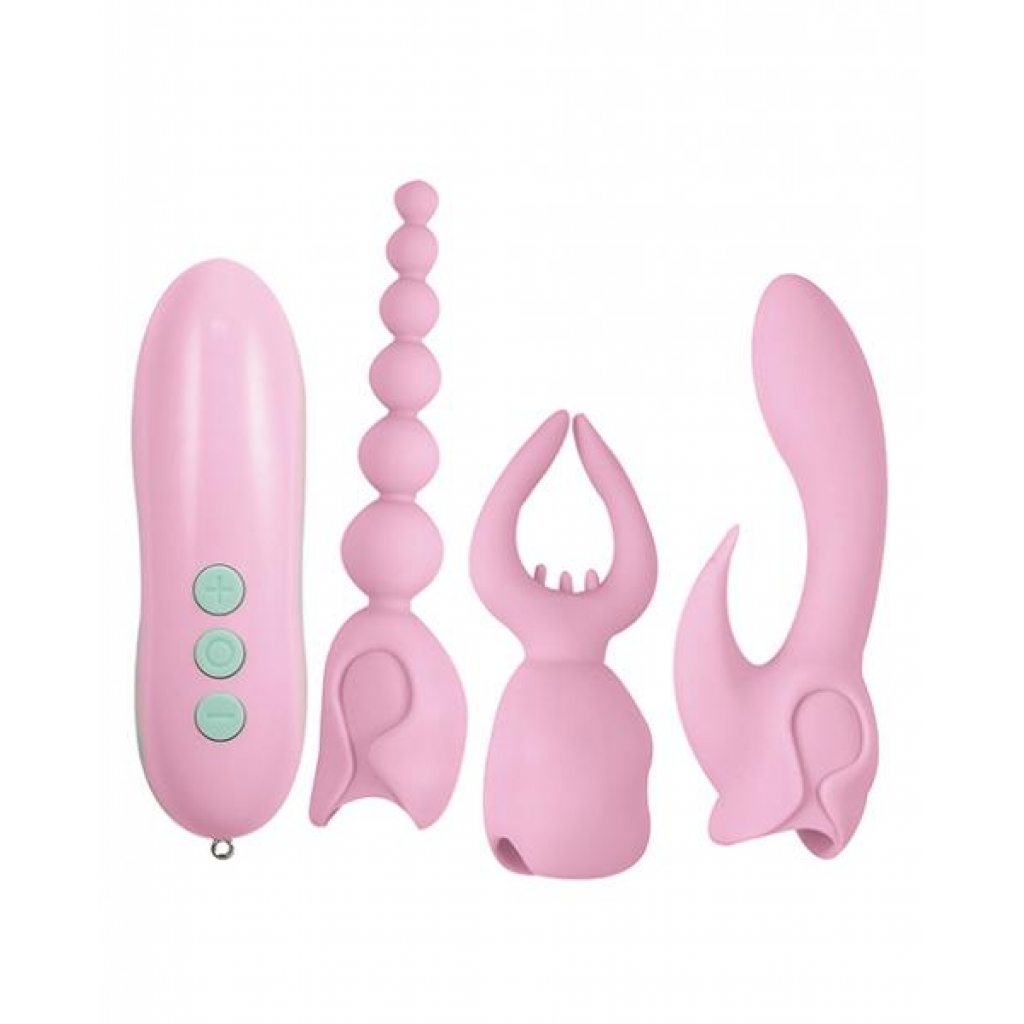 Pink Elite Collection Ultimate Orgasm Kit Pink - Nasstoys