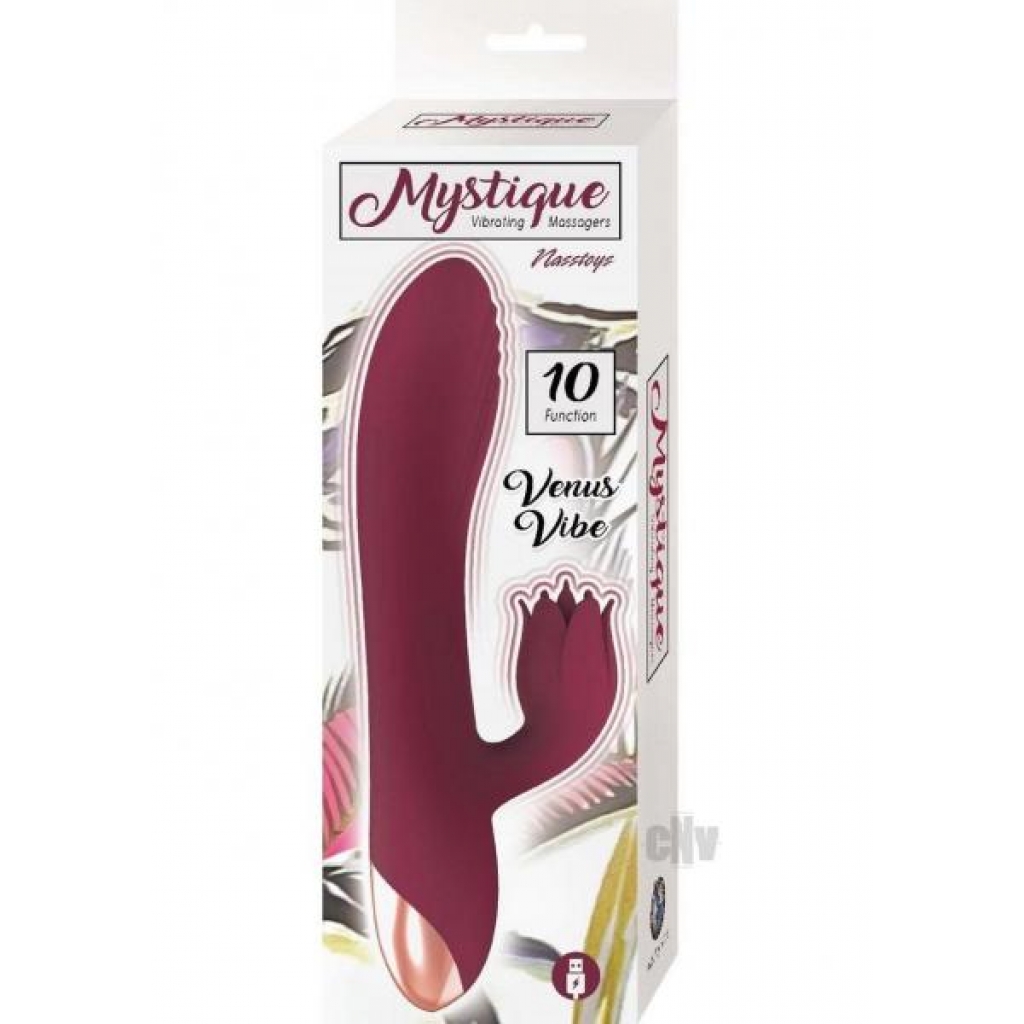 Mystique Venus Vibe Eggplant - Novelties By Nass-walk Inc