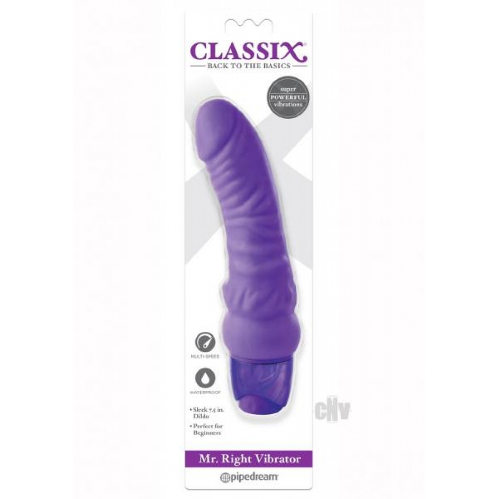 Mr Right Vibrator Purple - Pipedream