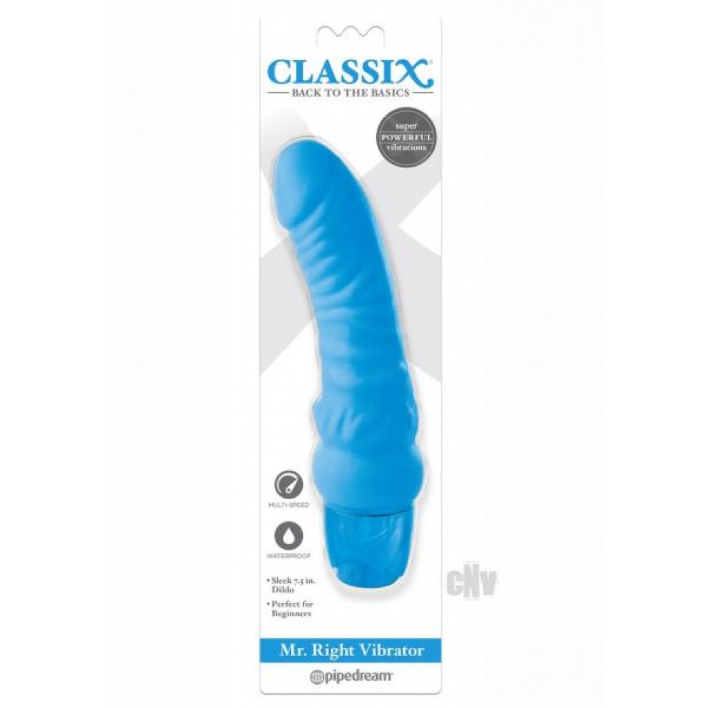 Mr. Right Vibrator - Classic Sensation in Blue