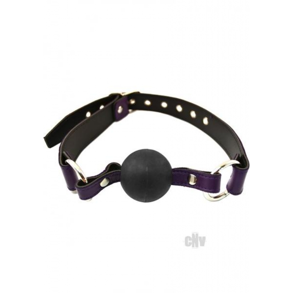 Rouge Ball Gag Purple - Rouge Garments