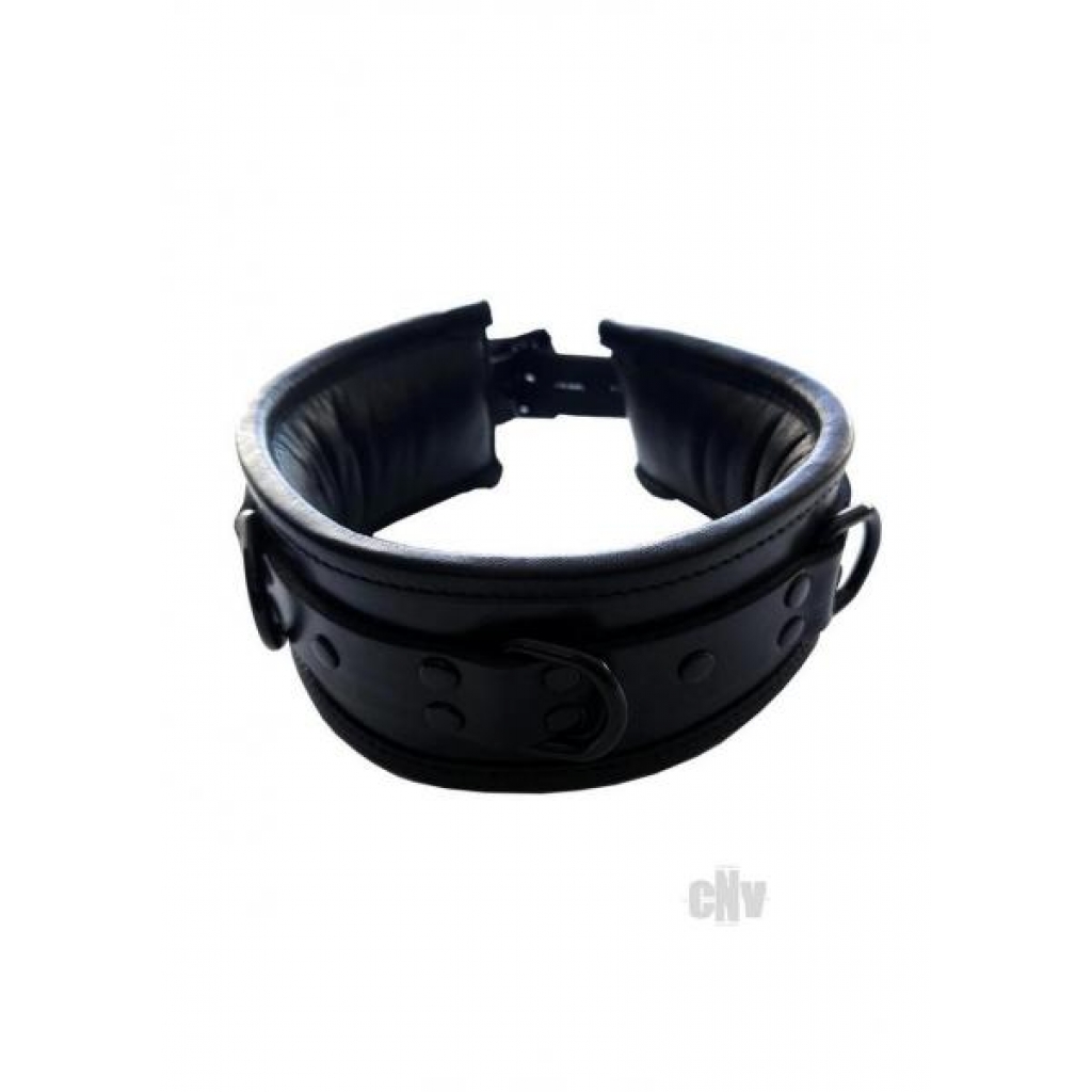 Padded Luxury Leather Collar - Black