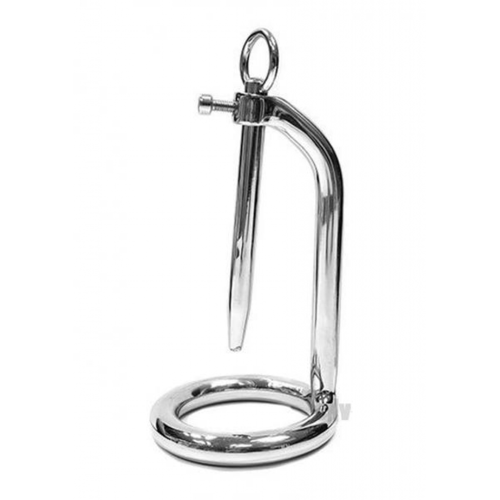 Chastity Cock Ring and Urethral Probe - Steel