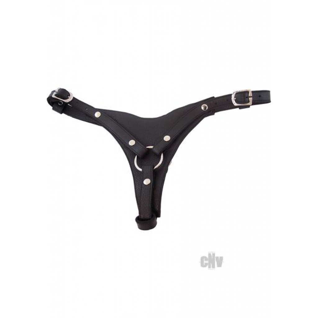 Rouge Female Dildo Harness Black - Rouge Garments