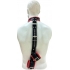 Rouge Leather Neck To Hand Restraint Black Red - Rouge Garments