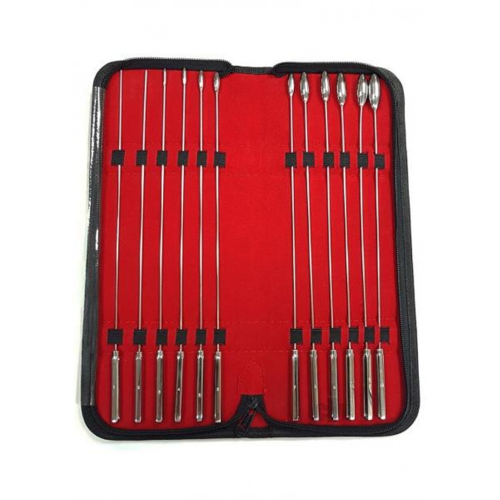 Rouge Stainless Steel Rosebud Urethral Sound Kit - 12 Pieces