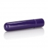 Tiny Teasers Bullet Vibrator - Purple