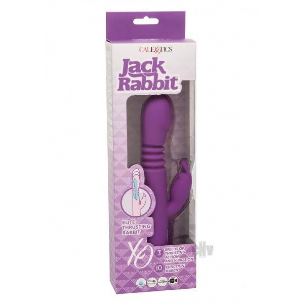 Jack Rabbit Elite Thrut Rabbit Vibrator - Purple