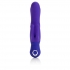 Posh Silicone Double Dancer Vibrator - Purple