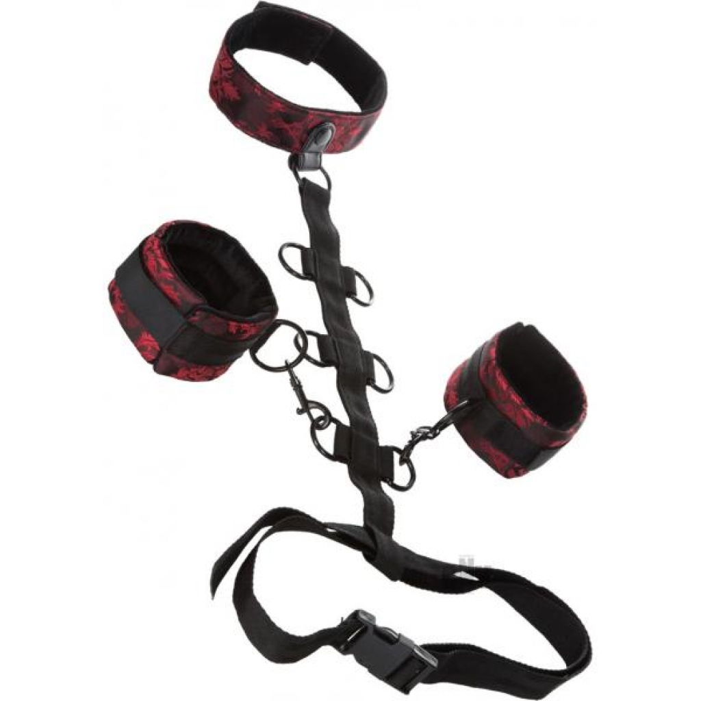 Scandal Collar Body Restraint - Luxurious Bondage