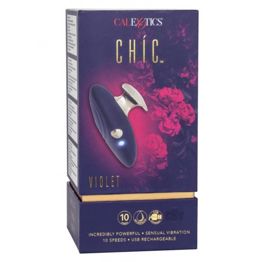 Chic Violet Blue Vibrator