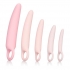 Inspire Silicone Dilator Kit Pink - Cal Exotics