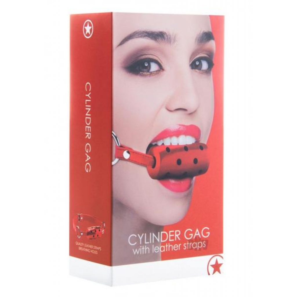 Ouch Cylinder Gag Red - Shots America Llc