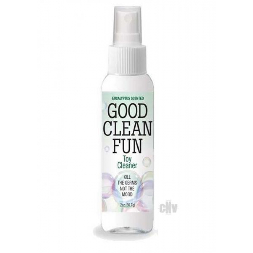 Good Clean Fun Spray Eucalyptus 2oz - Little Genie Productions Llc.