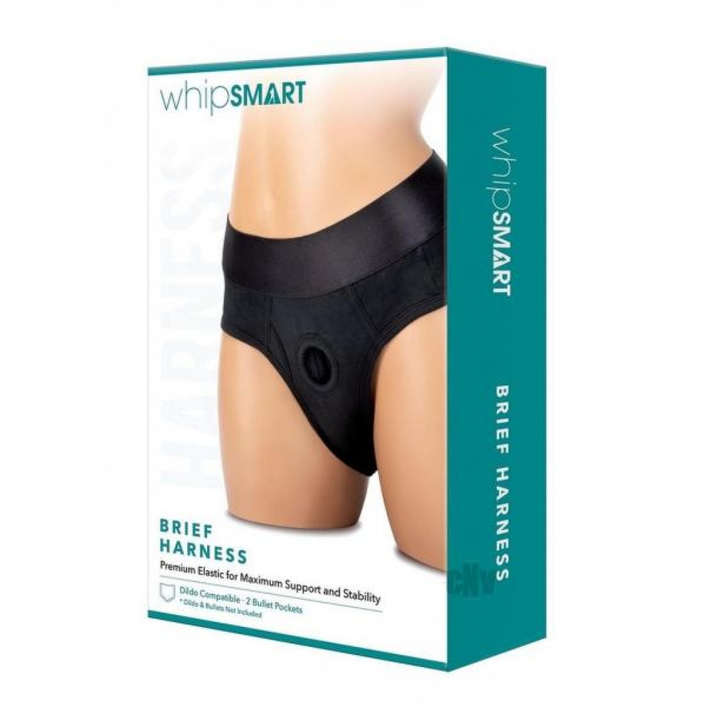 Whipsmart Brief Harness Lg - Xgen, Llc.