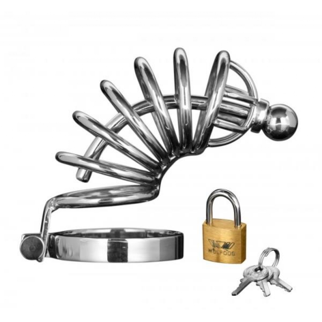 Asylum 6 Ring Locking Chastity Cage - Ultimate Control