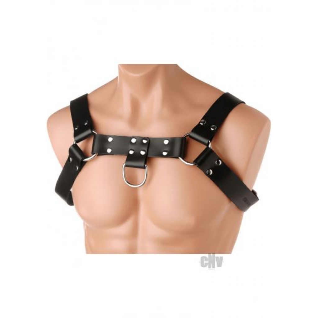 Black Leather English Bull Dog Harness for Bondage Play