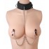 Submission Collar and Nipple Clamps - Perfect for BDSM Enthusiasts