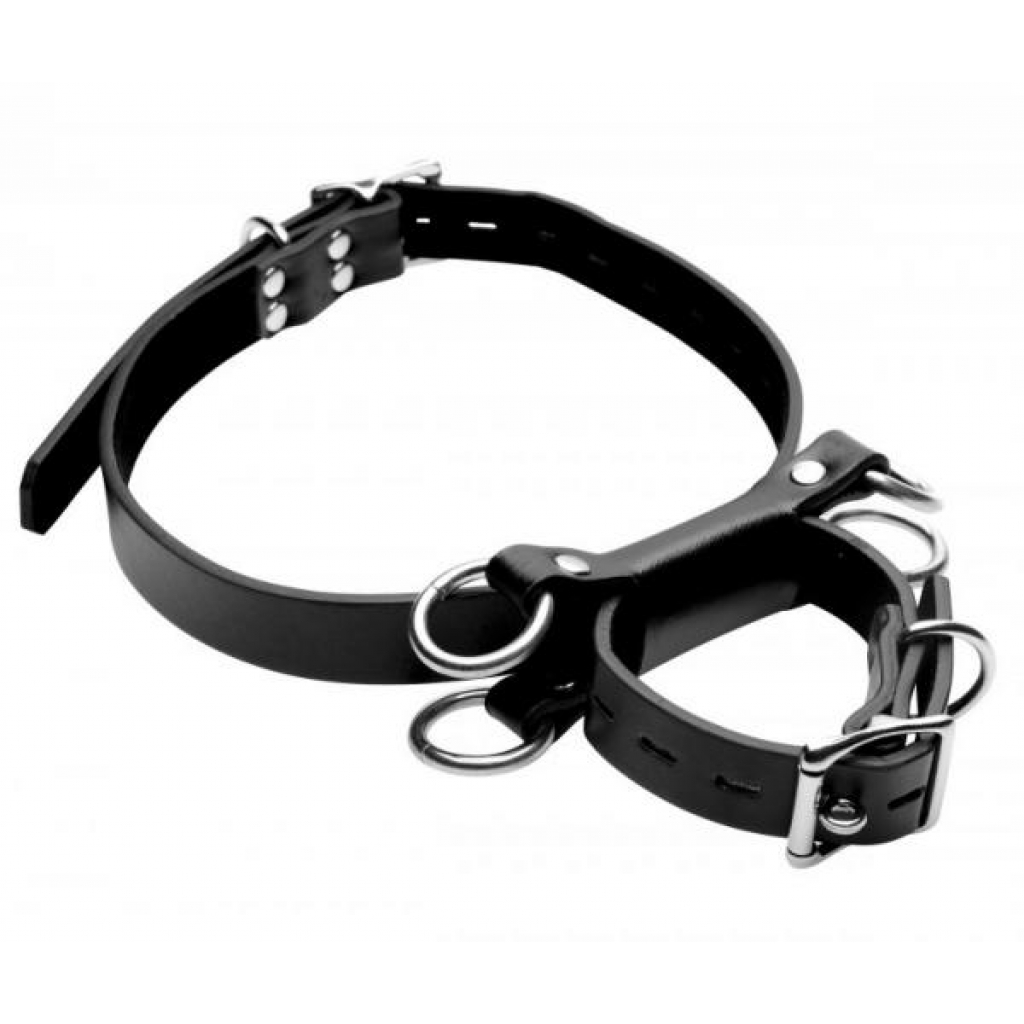 Frog Tie Kneeling Bondage Restraint System Black - Xr Brands