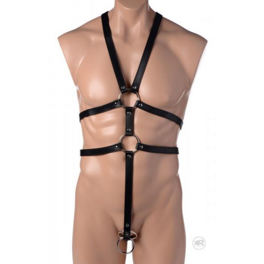 Seductive Male Full Body Harness in Black Leather