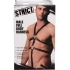 Male Full Body Harness Black Leather - Xr Brands