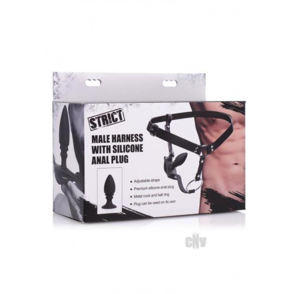 Strict Male Harness W/anal Plug - Xr Llc