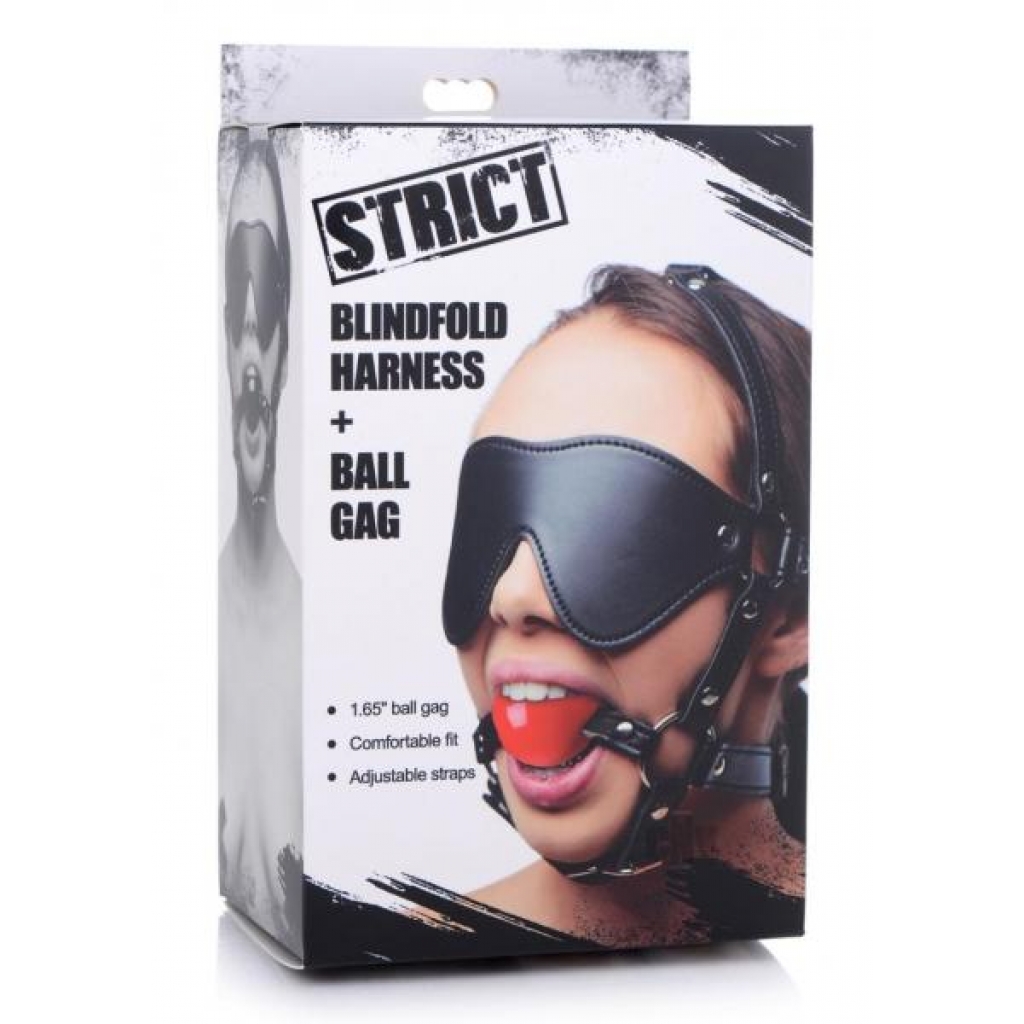 Strict Blindfold Harness W/gag - Xr Llc