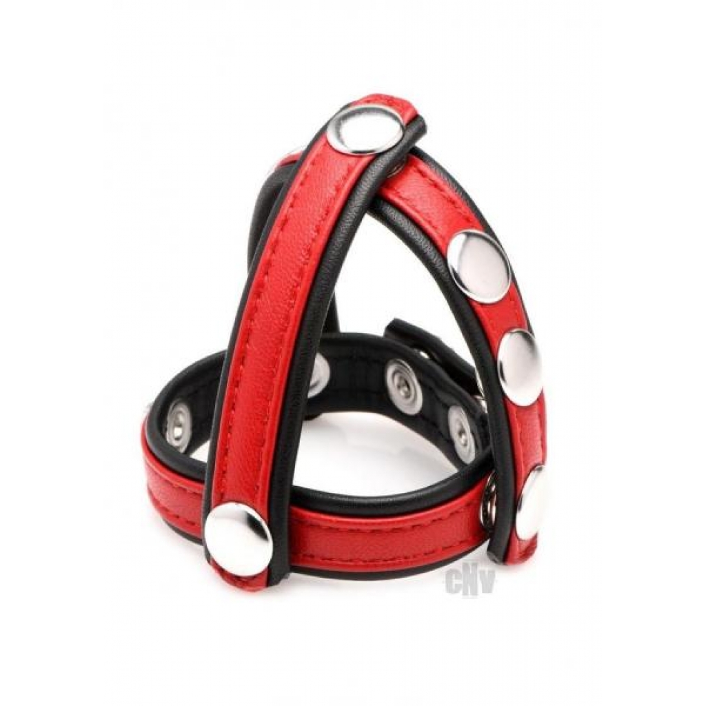 Cg Leather Snap-on Harness Red - Xr Llc
