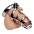 Stainless Steel Chastity Cock Cage with Adjustable Rings