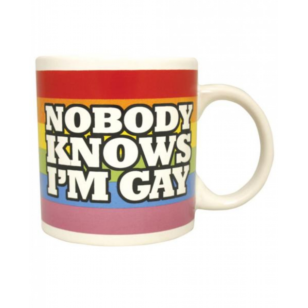 Attitude Mug - Nobody Knows I'm Gay - Rainbow Cup