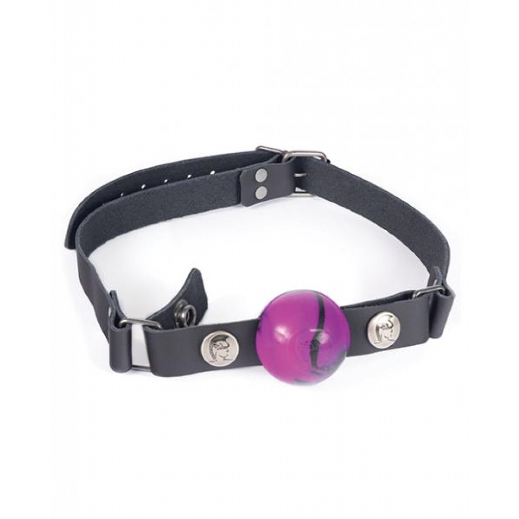 Spartacus Nickel-Free Hardware Ball Gag - Small Size