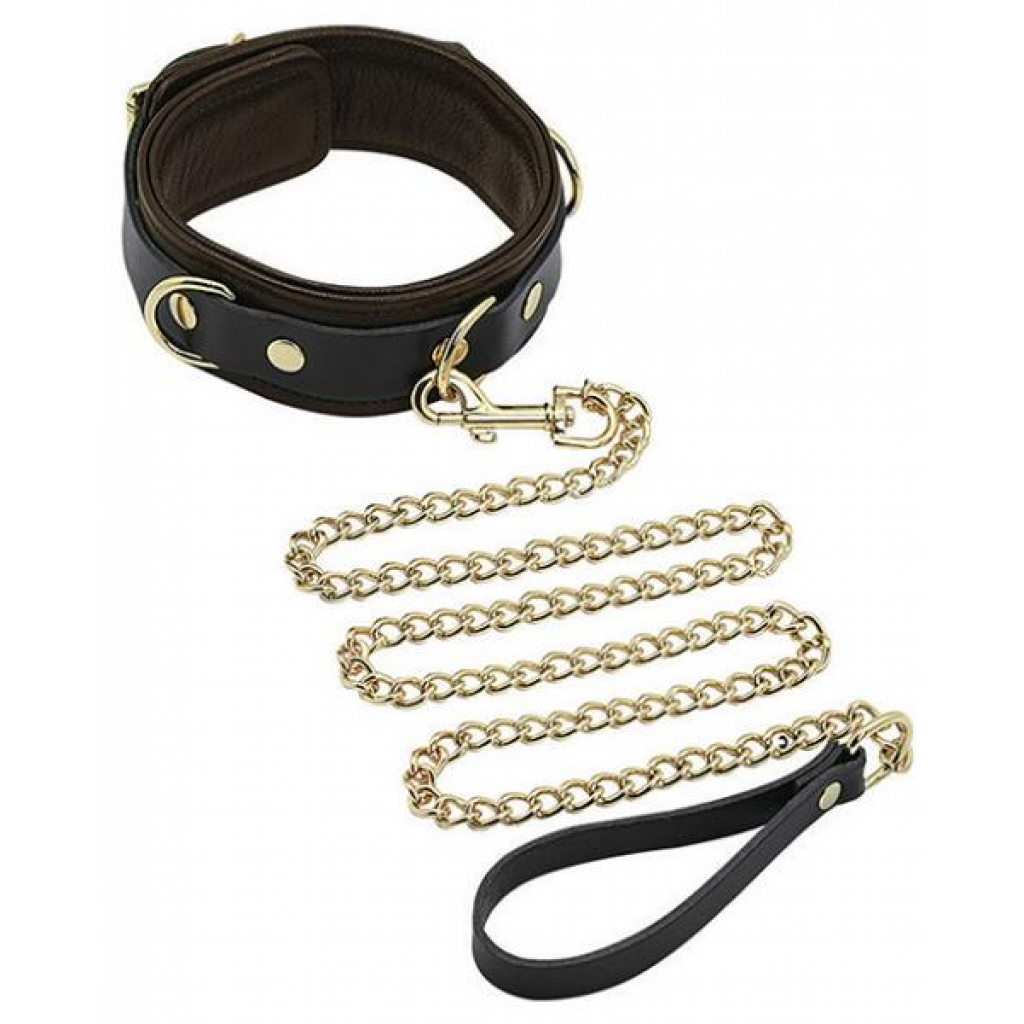 Spartacus Collar & Leash - Brown Leather with Gold Accent Hardware