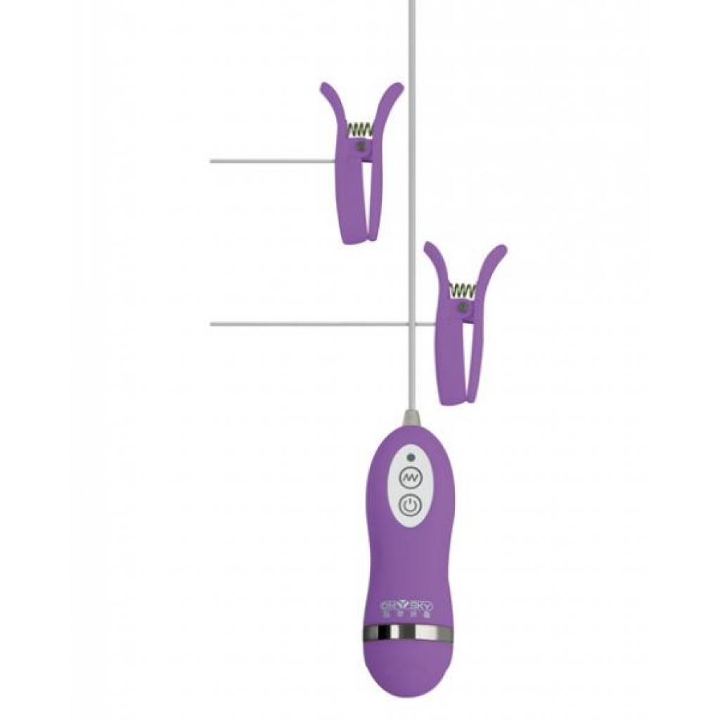 GigaLuv Vibro Clamps - 10 Functions in Purple