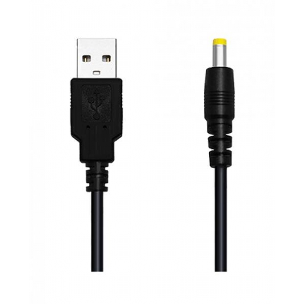 Lovense Charging Cable - Domi 2