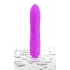 Neon Luv Touch Wave - Purple Vibrator