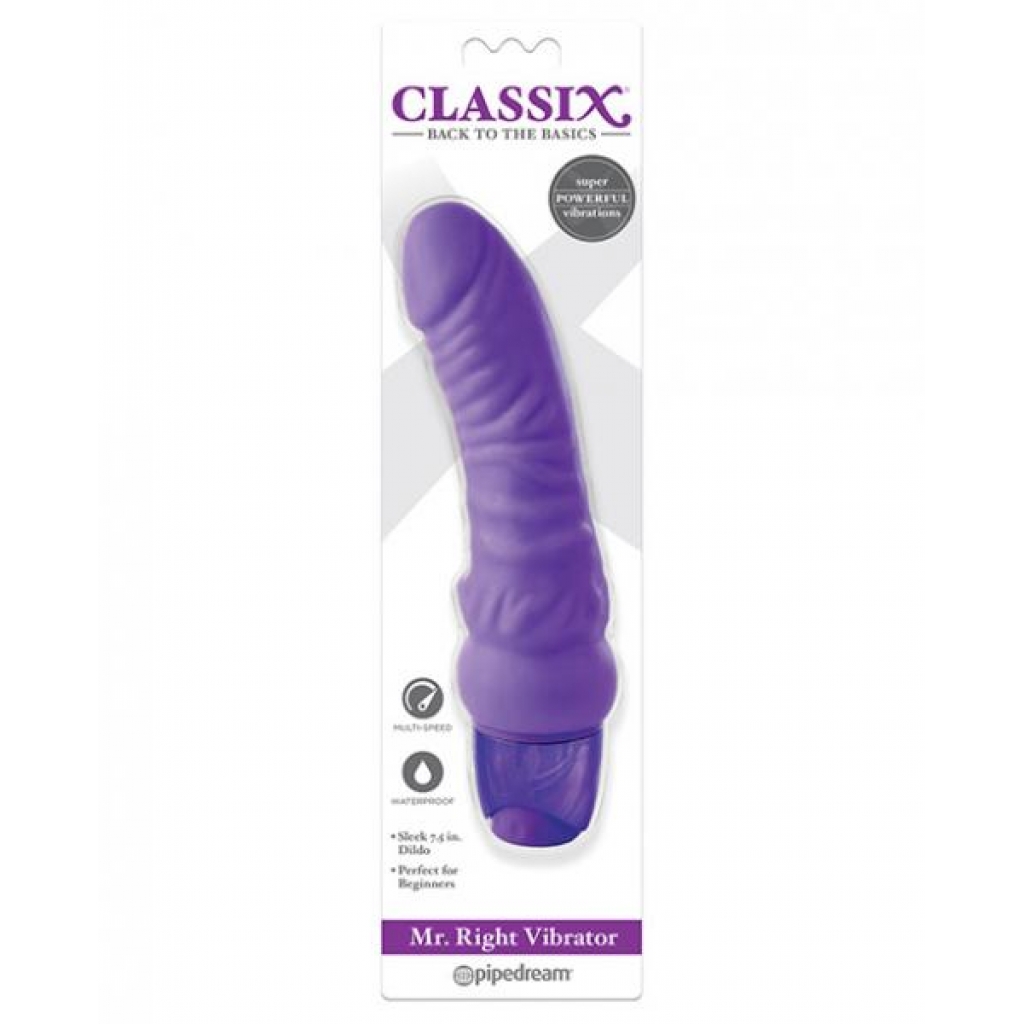 Classix Mr. Right Multi-Speed Vibrator - Purple