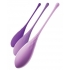 Fantasy For Her Kegel Train-Her Set - Purple