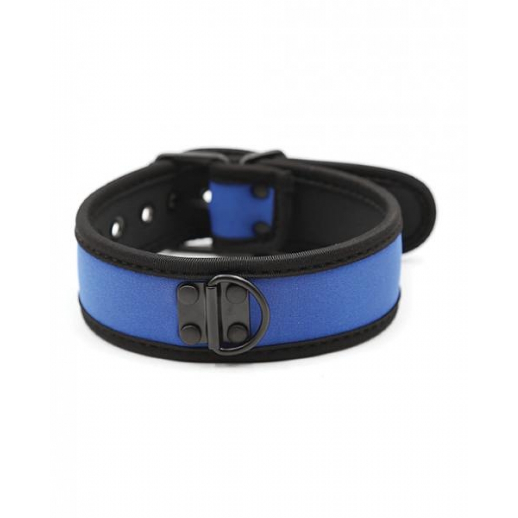 Plesur Neoprene Puppy Collar - Stylish Pet Accessory