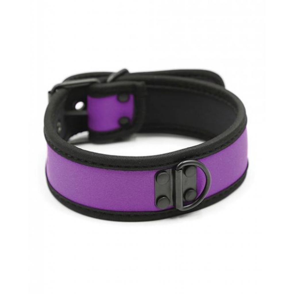 Plesur: Neoprene Puppy Collar in Purple