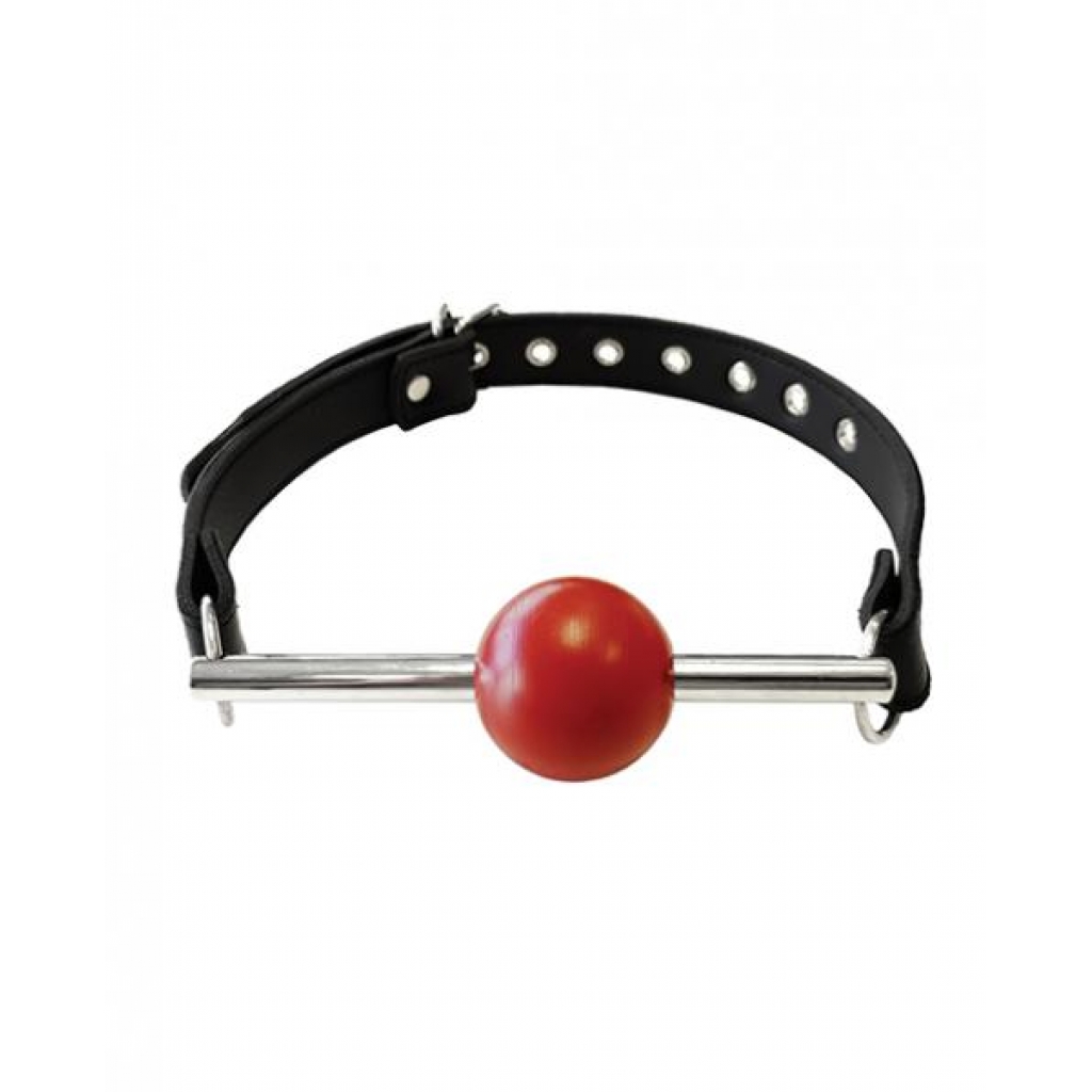 Rouge Leather Ball Gag With Stainless Steel Rod - Black With Red