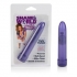 Shane's World Sparkle Vibrator - Purple Party Perfect